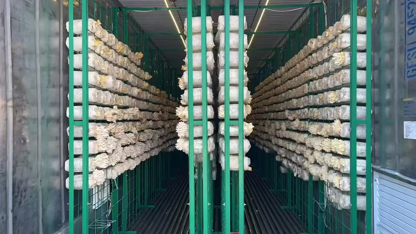 Lateral Growth Racks